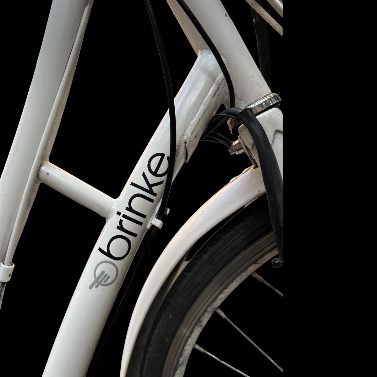 Biciclette: Unique: Brinke City-E-Bike – Usato da Zürich venduto da taormina02 3