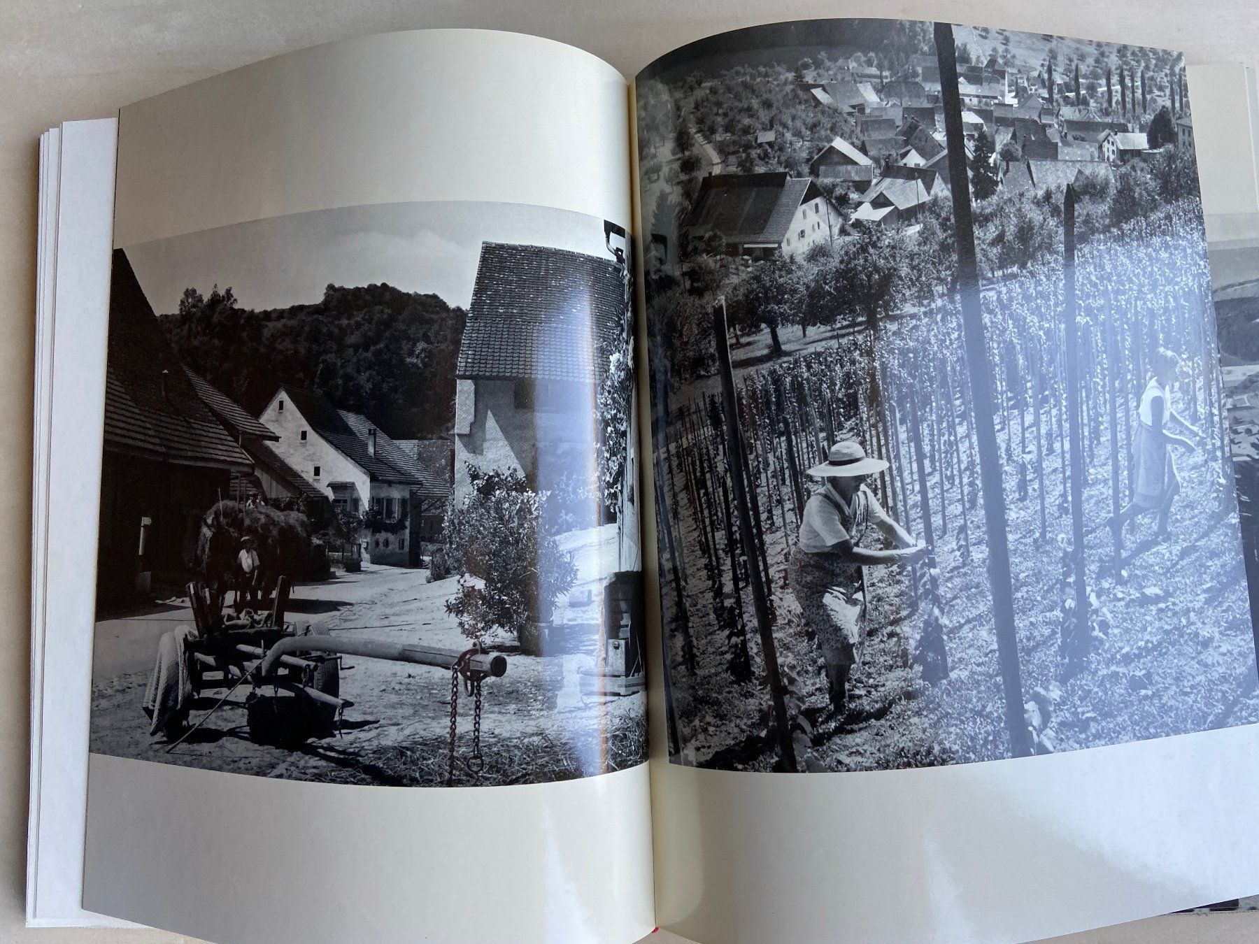 Bücher: Buch Baselland zwischen Strom und Berg – Gebraucht aus Böckten von Hansi36 3