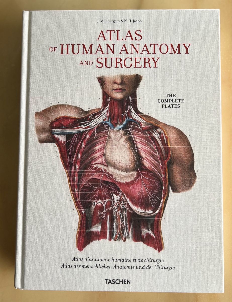 Libri: Anatomie Mensch – Nuovo (secondo la descrizione) da Baar venduto da TheArchive