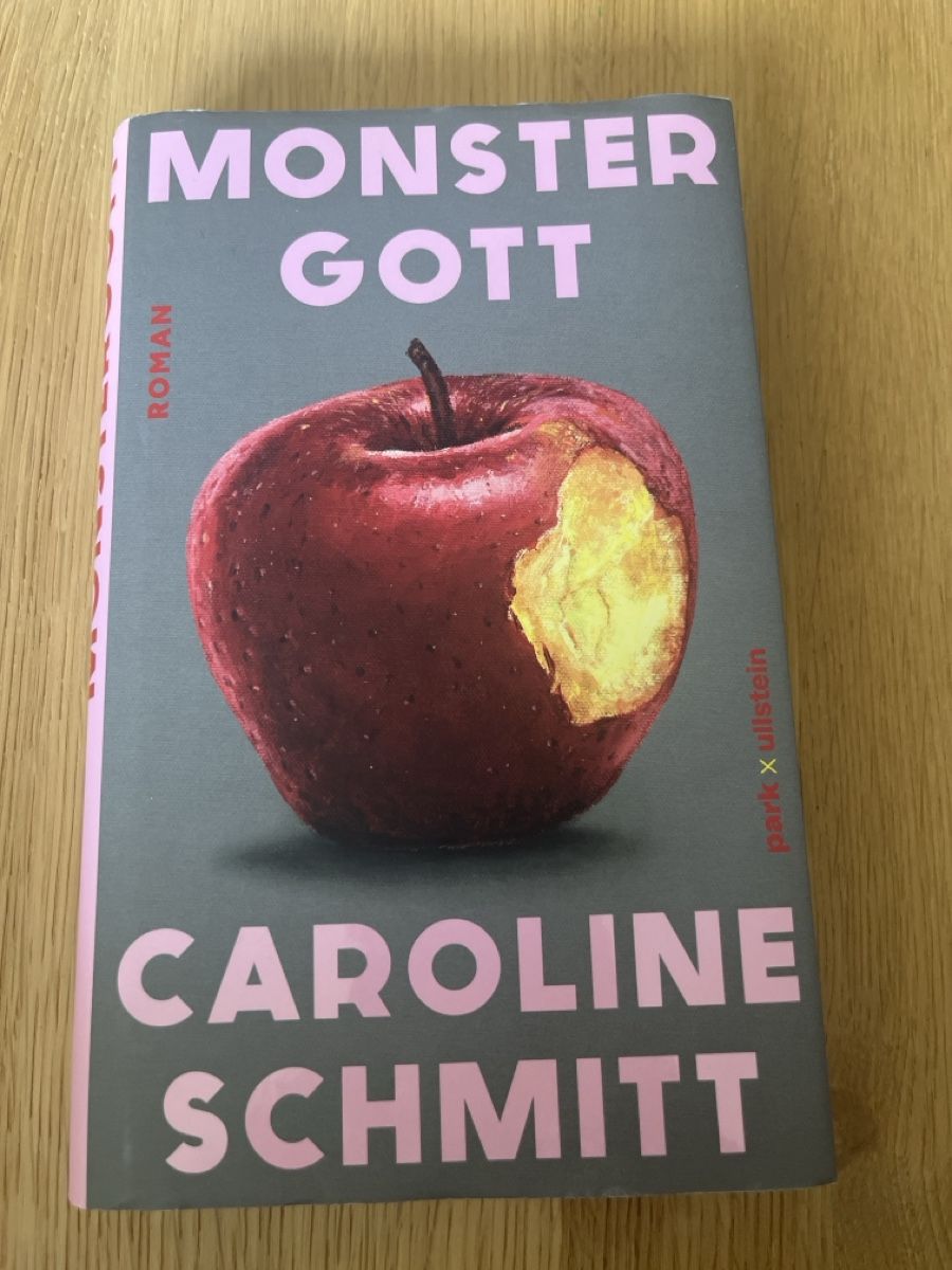 Bücher: Monstergott von Caroline Schmitt – Gebraucht aus Neuenhof von luz_h7hq