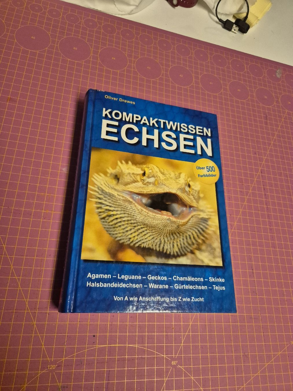 Libri: Buch Kompaktwissen Echsen- Terraristik – Usato da Wynigen venduto da La_Talpa