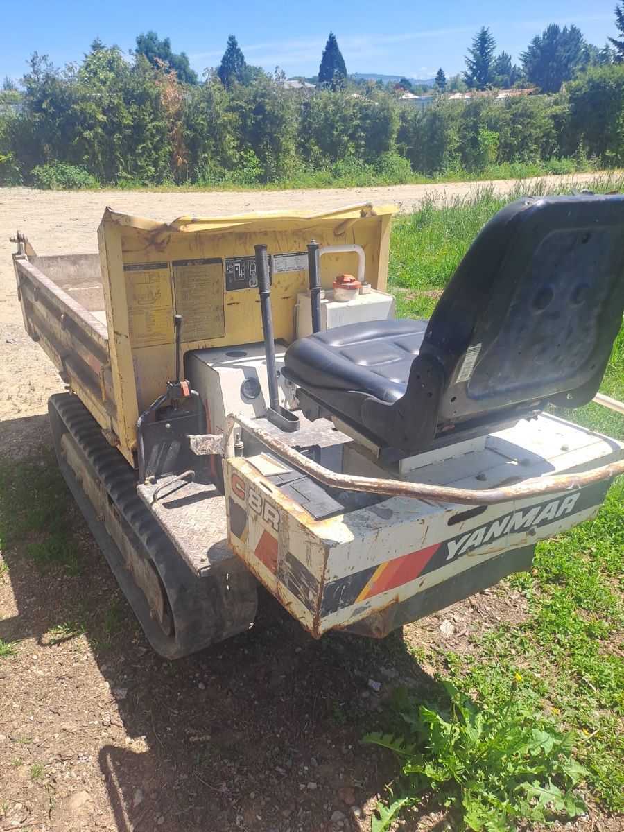 Autoribaltabili: Raupendumper Yannmar – Usato da Neuendorf venduto da Goeggs01