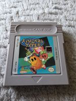 🔥 Amazing Tater – Game Boy – Ultra Rare – Authentique.