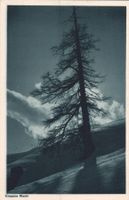 Antike Heimatland-Postkarte, Winterlandschaft Klosters 2/18