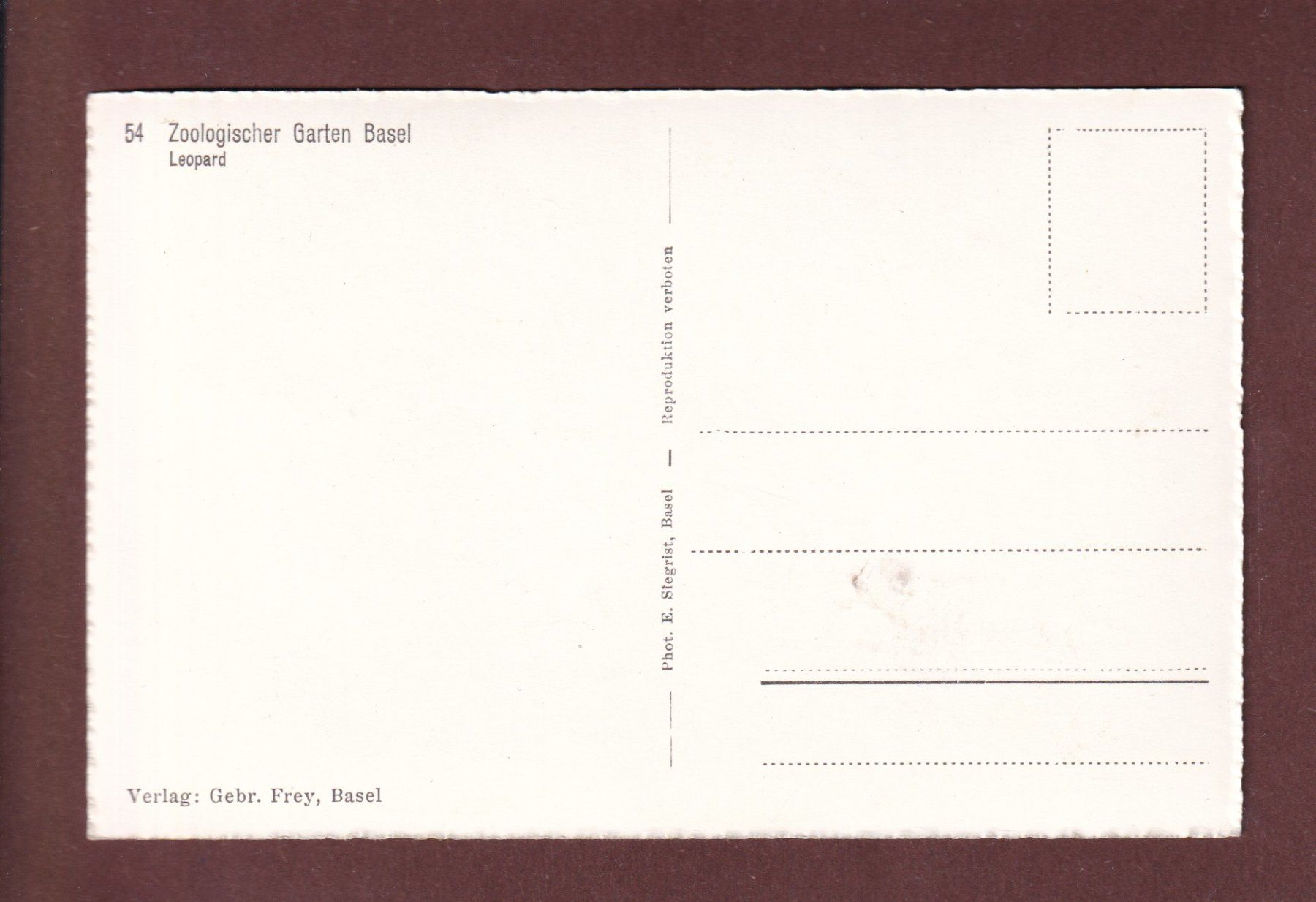 Cartes postales: BASEL - Zoo - Leopard – D'occasion à Pully par nicecards-shop 1