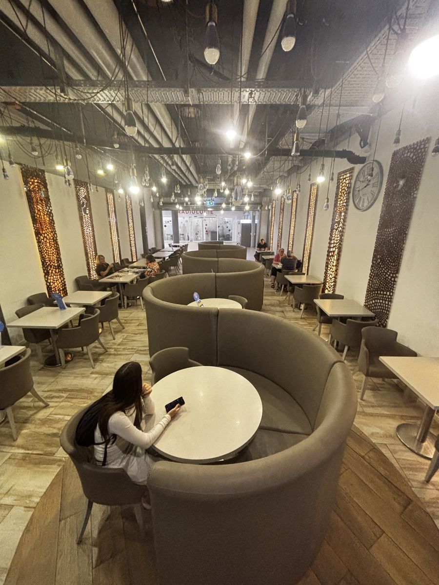 Fauteuils: 6 fauteuil pour bistrot – D'occasion à Attalens par gar_cpq6