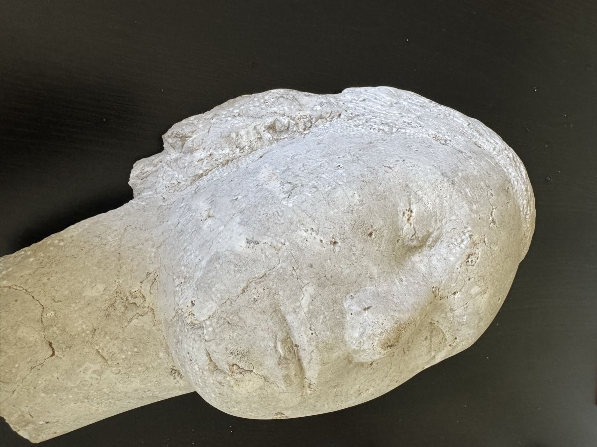 Sculture & Statue: Abstrakte Kopfskulptur aus Dolomit – Usato da Buchs AG venduto da ChrizZa 2