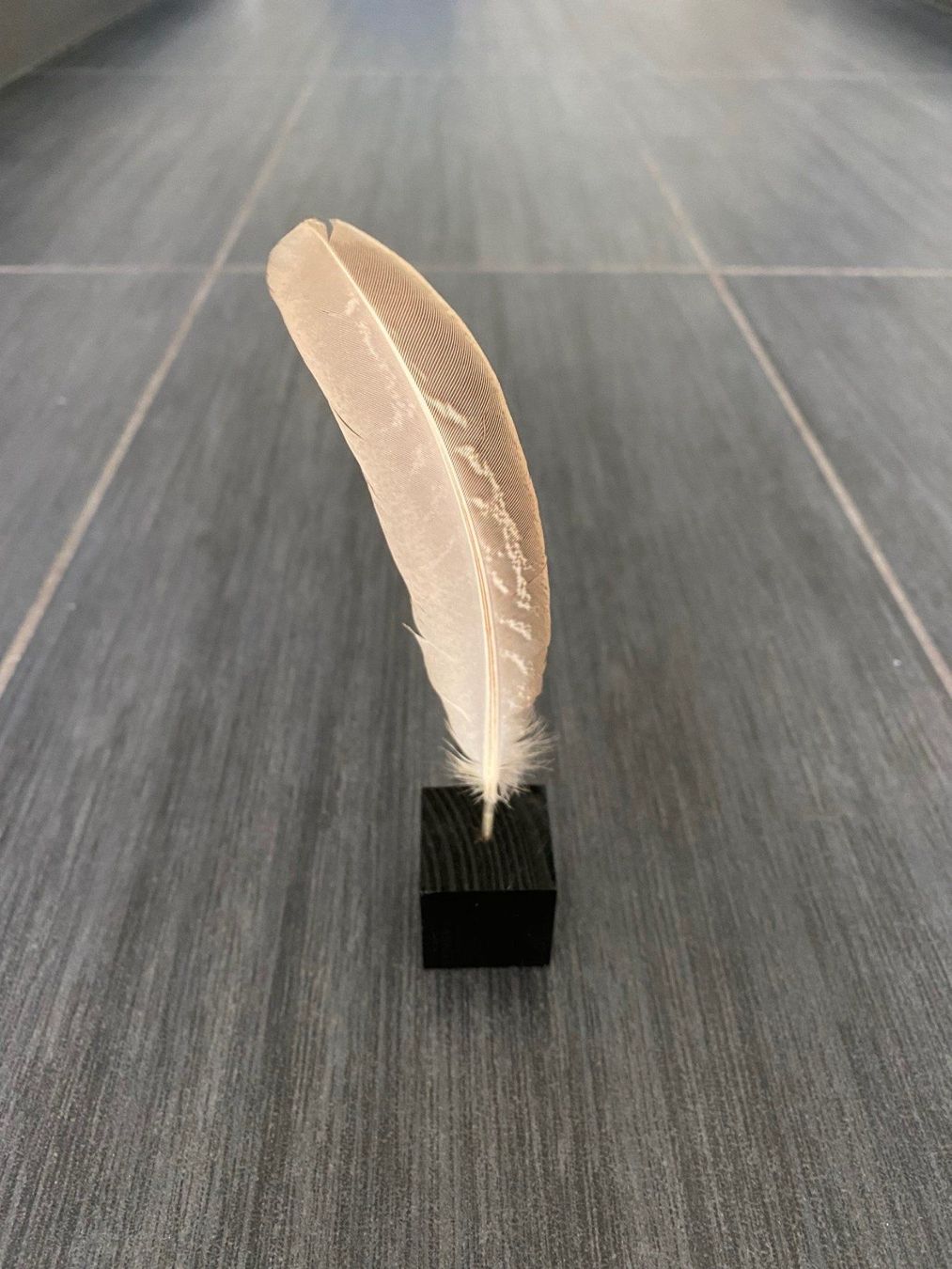 Tutte le decorazioni: Dekoobjekt "Feder" – Usato da Lachen SZ venduto da JLO-Creations 1