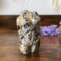 ✲ Bilderjaspis Frauenkörper schwanger✲ 72g / 60mm Ladybody