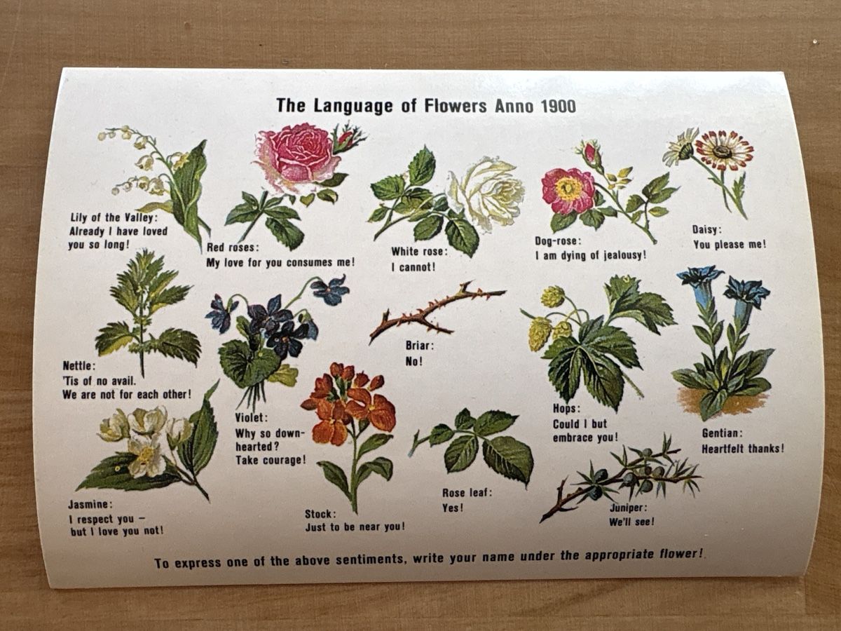 Ansichtskarten: AK mit Blumen - Sprache – Gebraucht aus Rümlang von Kartenpost1 2