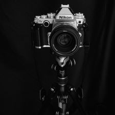 Profile image of rz_3356