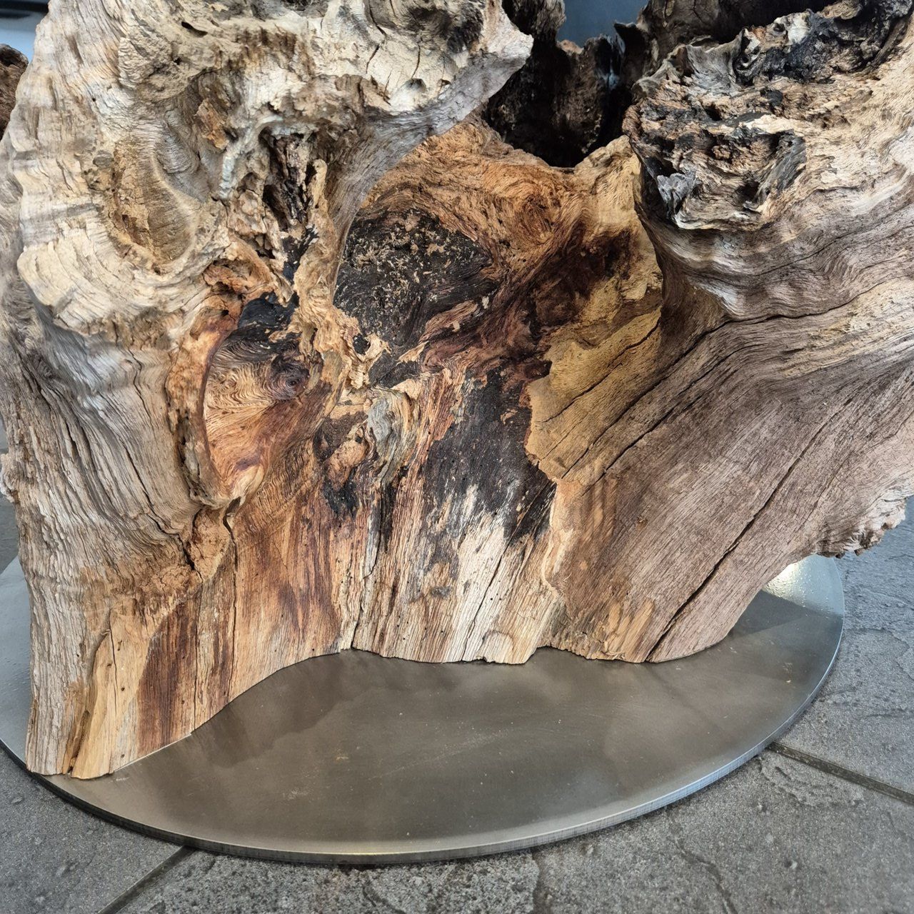 Tables: Salontisch aus Baumstrunk mit Glasplatte – Neuf (Voir description) à Ottenbach par WoodGallery 7