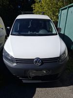 VW Caddy 2.0 TDI 4Motion Kasten weiss 