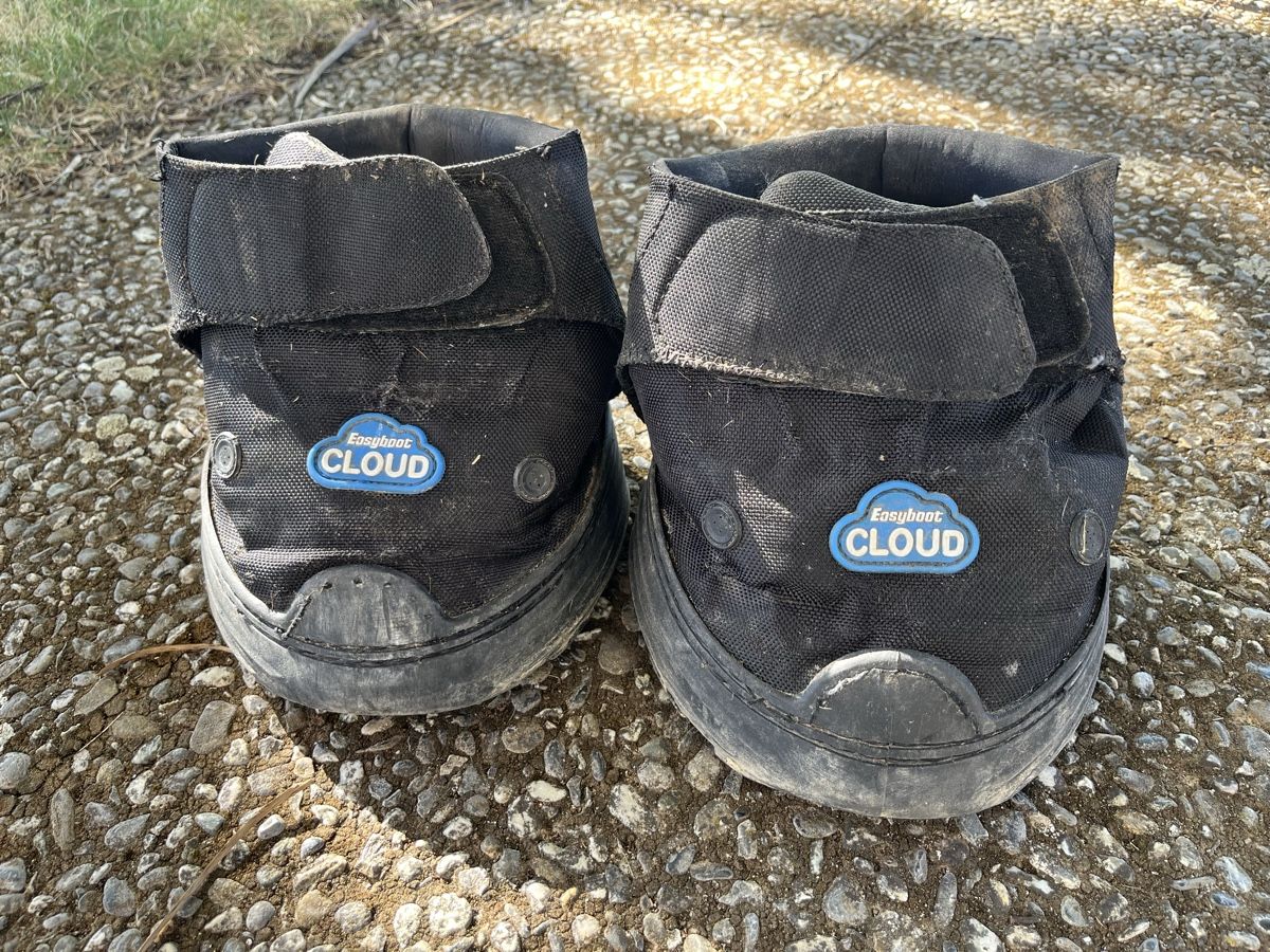Hufschuhe: Easyboot Cloud Hufschuhe schwarz gebraucht Paar – Gebraucht aus Detligen von sonjzi