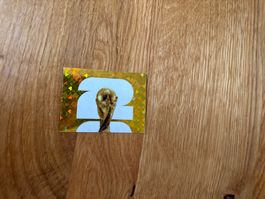 Panini FIFA World Cup 2026 Sticker FWC 1