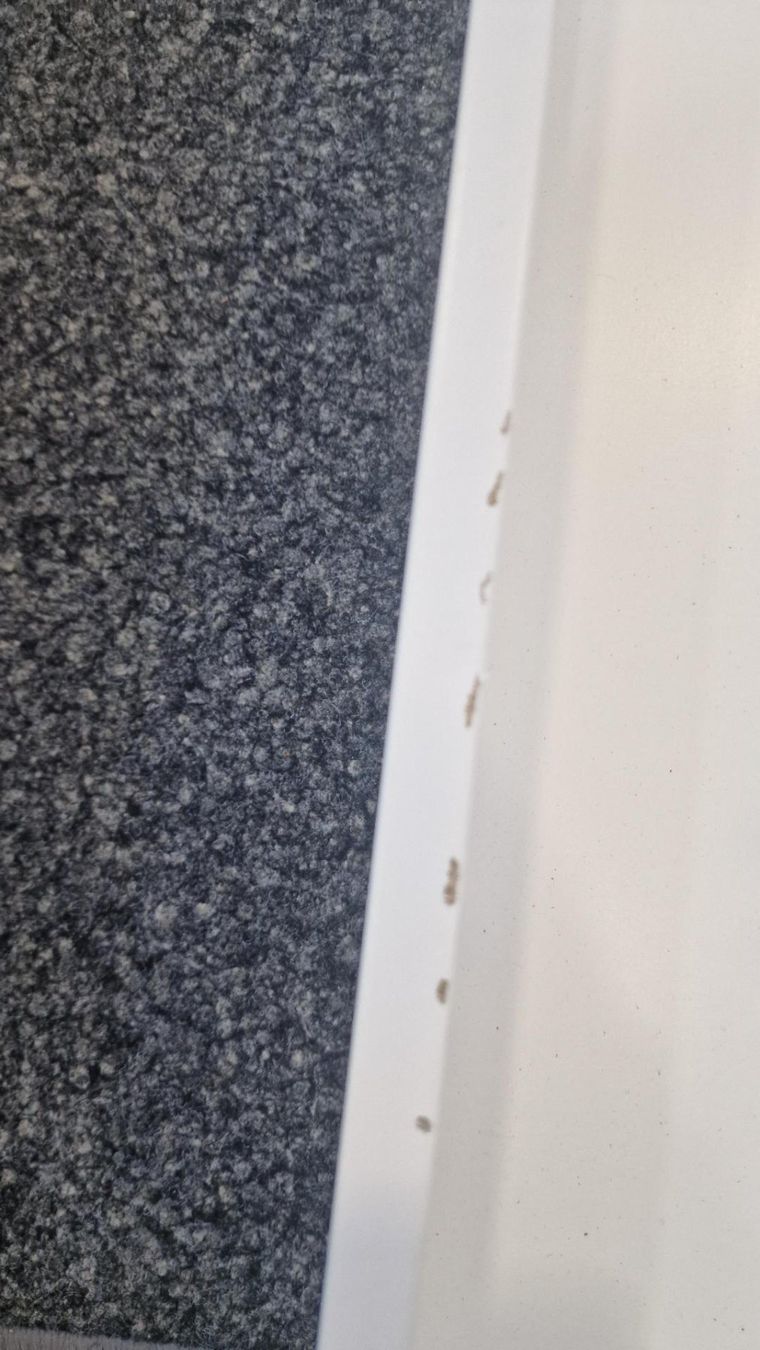 Ikea Armoires: 3 Stk. IKEA KOMPLEMENT Schublade, weiß, 100x58 cm – D'occasion à Rapperswil SG par MyChurch 2