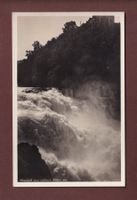 RHEINFALL vom mittleren Felsen aus