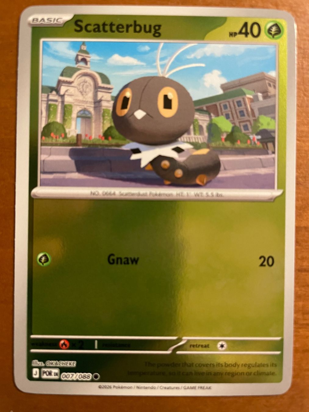 Pokémon Carte collezionabili: Pokemon Scatterbug Reverse (Versand gratis) – Nuovo (secondo la descrizione) da Chur venduto da Angerson