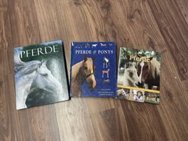 3 tolle Pferde-Bilderbücher