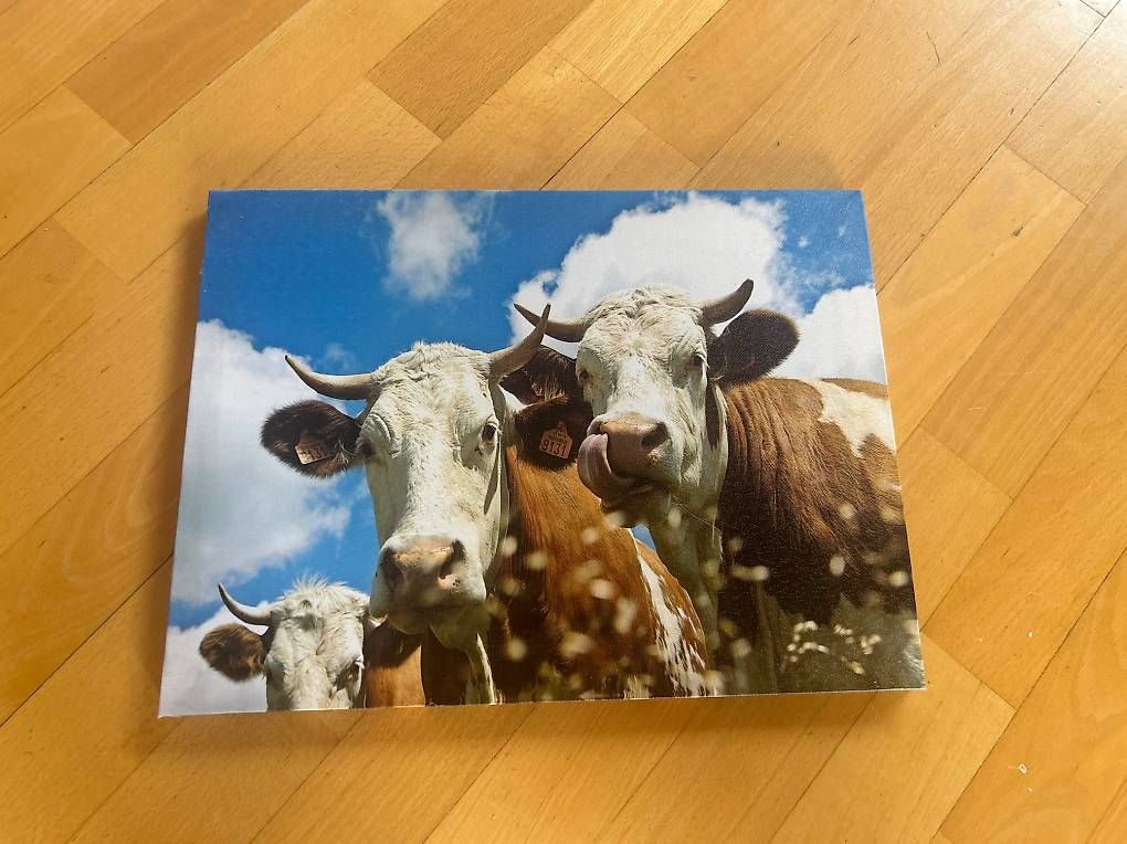Gemälde: Tableau de vaches  – Gebraucht aus Uvrier von dan_kk2z