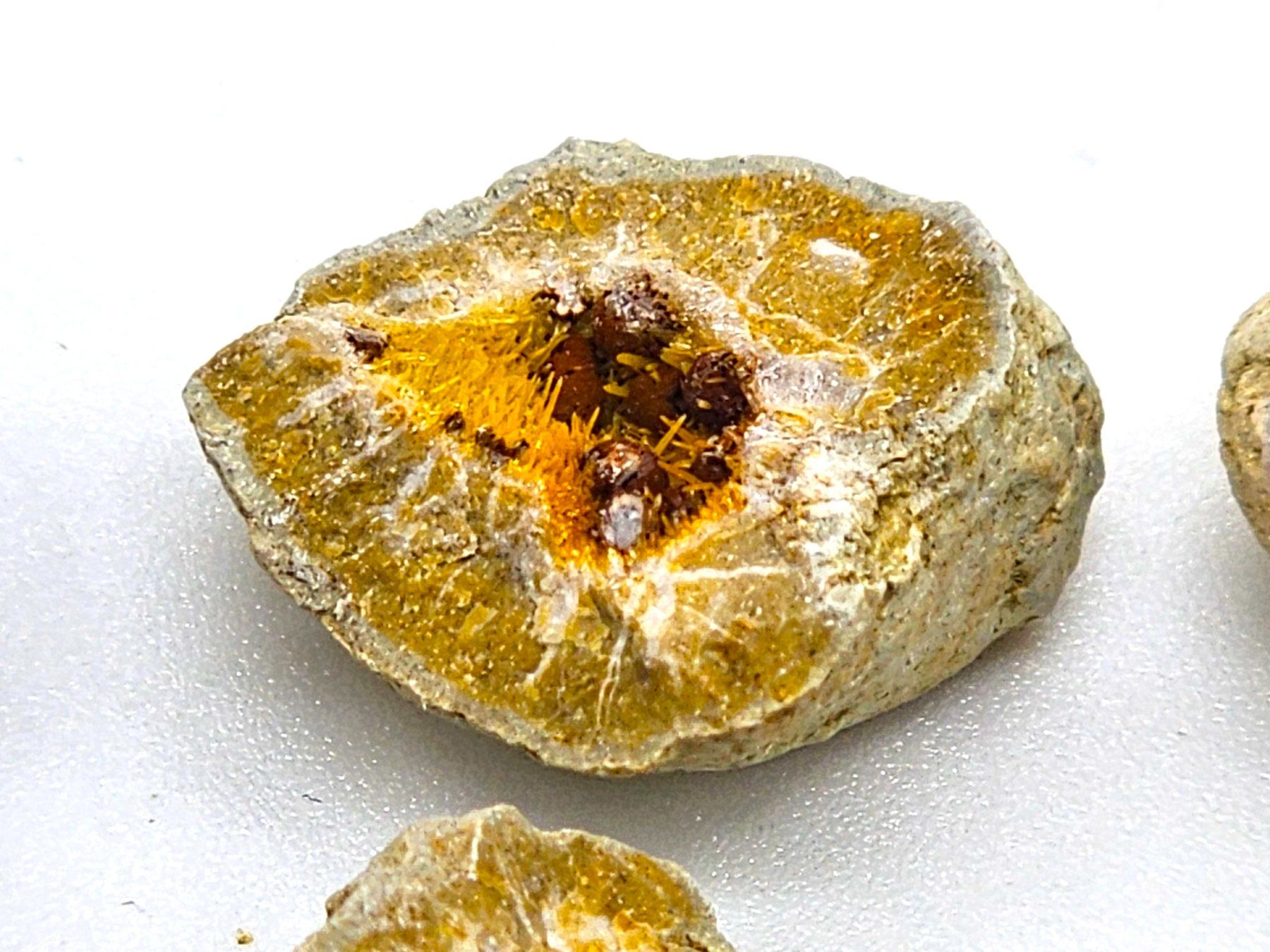 Minerali & Pietre curative: RaRe Kutnohorite with Aragonite in Geode – Usato da Figino venduto da minshop 6