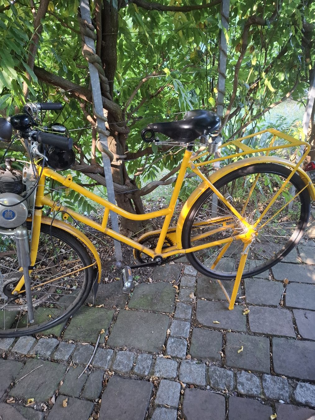 Biciclette: Rex FM 40 Fahrrad mit Hilfsmotor – Usato da Reinach BL venduto da chlaus04 1