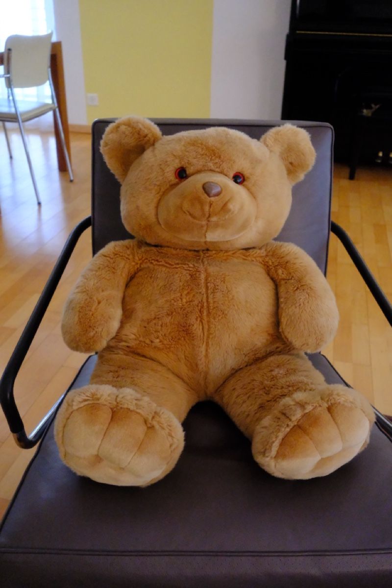 Giocattoli: Grosser Teddybär – Usato da Windisch venduto da YoungJoel 3