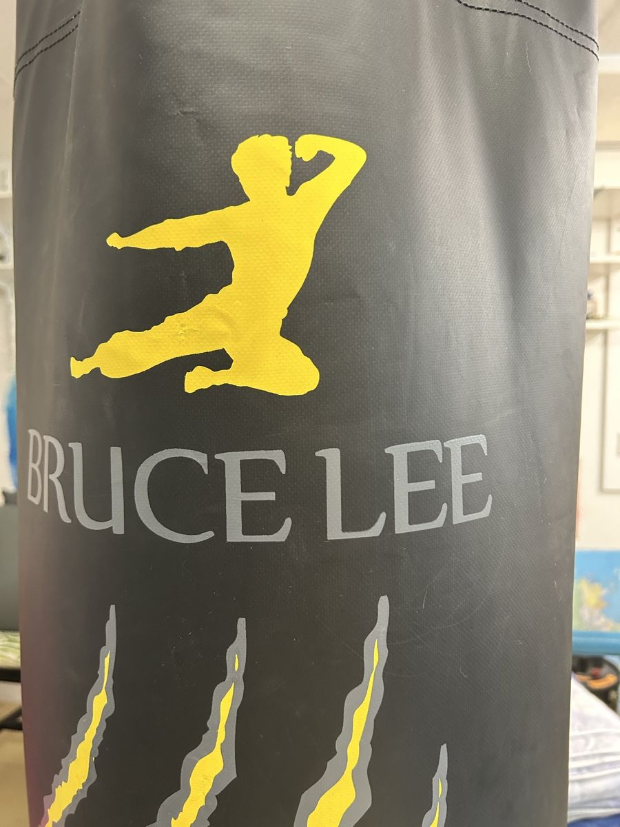 Sacchi da boxe: Boxsack Bruce Lee – Usato da Wohlen b. Bern venduto da Honeypie