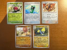 Pokemon Reverse Karten Set (Versand gratis)