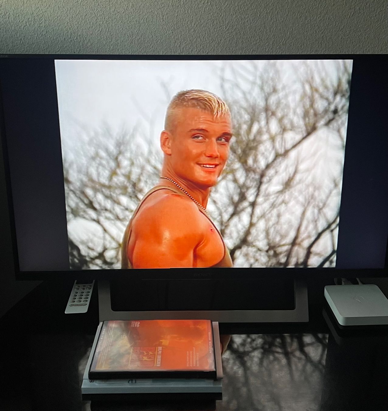 Tutti i DVDs: Red Scorpion - Dolph Lundgren – Usato da Flawil venduto da NiceT 6