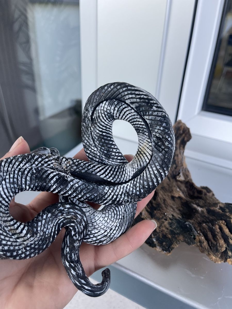 Statuette: Handmade Candle Snake Statue - Perfect Decor! – Nuovo (secondo la descrizione) da Wetzikon ZH venduto da man_7mn7 3