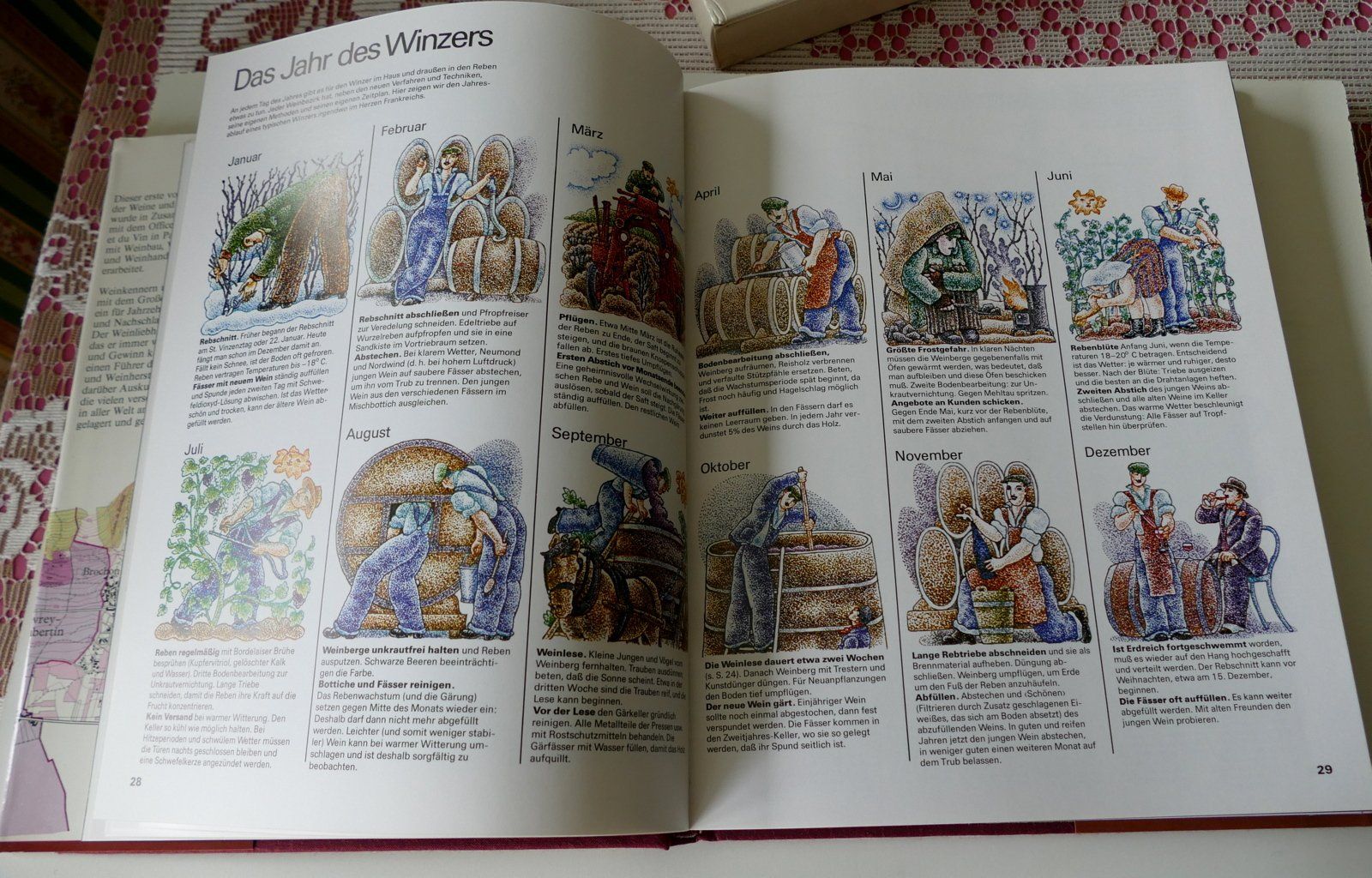 Livres: Weinatlas – D'occasion à Dietlikon par kes_j6d7 9