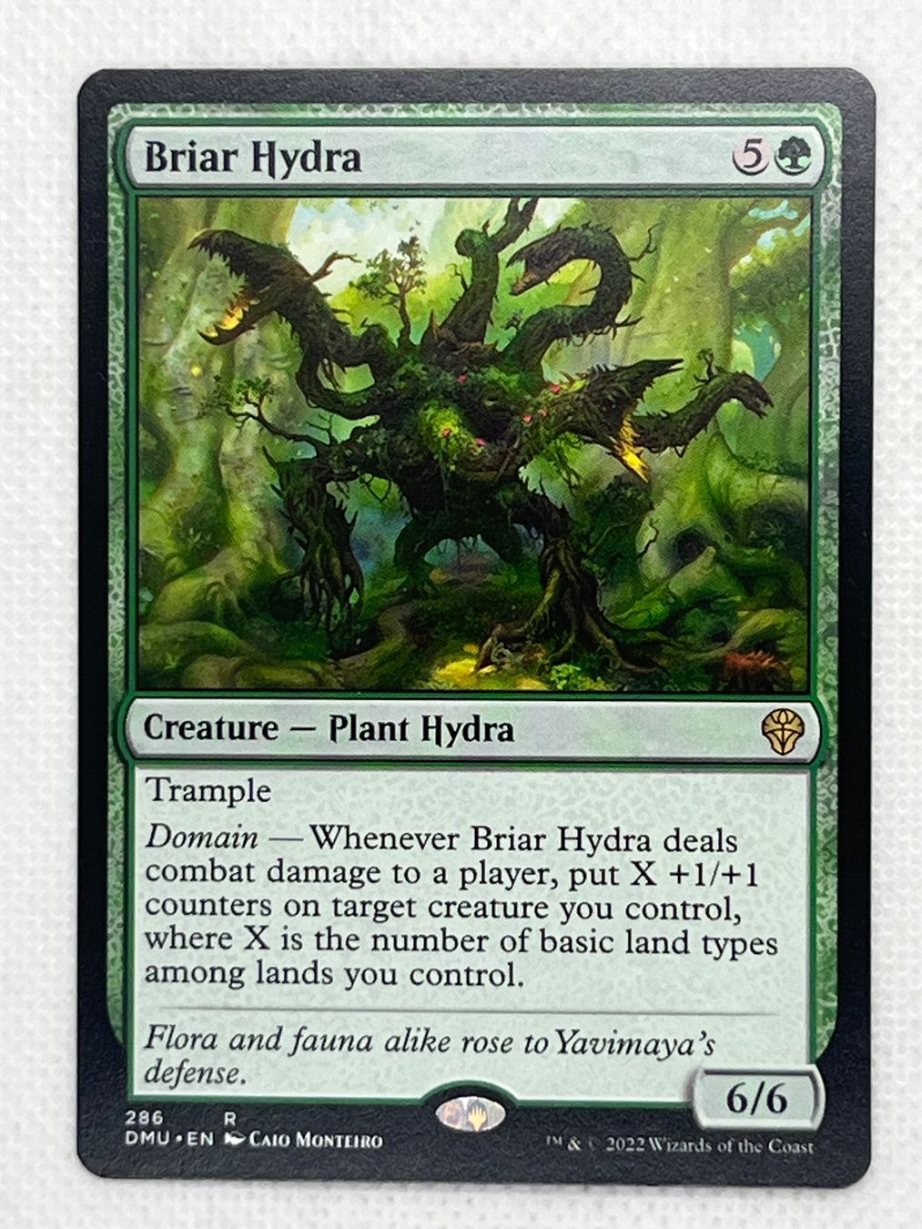 Magic The Gathering Carte collezionabili: Briar Hydra, Magic The Gathering Karte, DMU – Usato da Hinterkappelen venduto da Kim1992