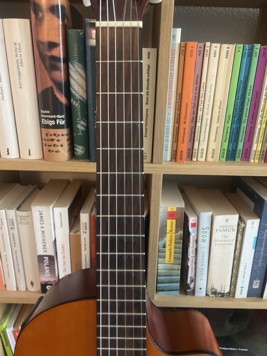 Strumenti musicali: Konzertgitarre elektrisch – Usato da Cham venduto da Jaenu. 2