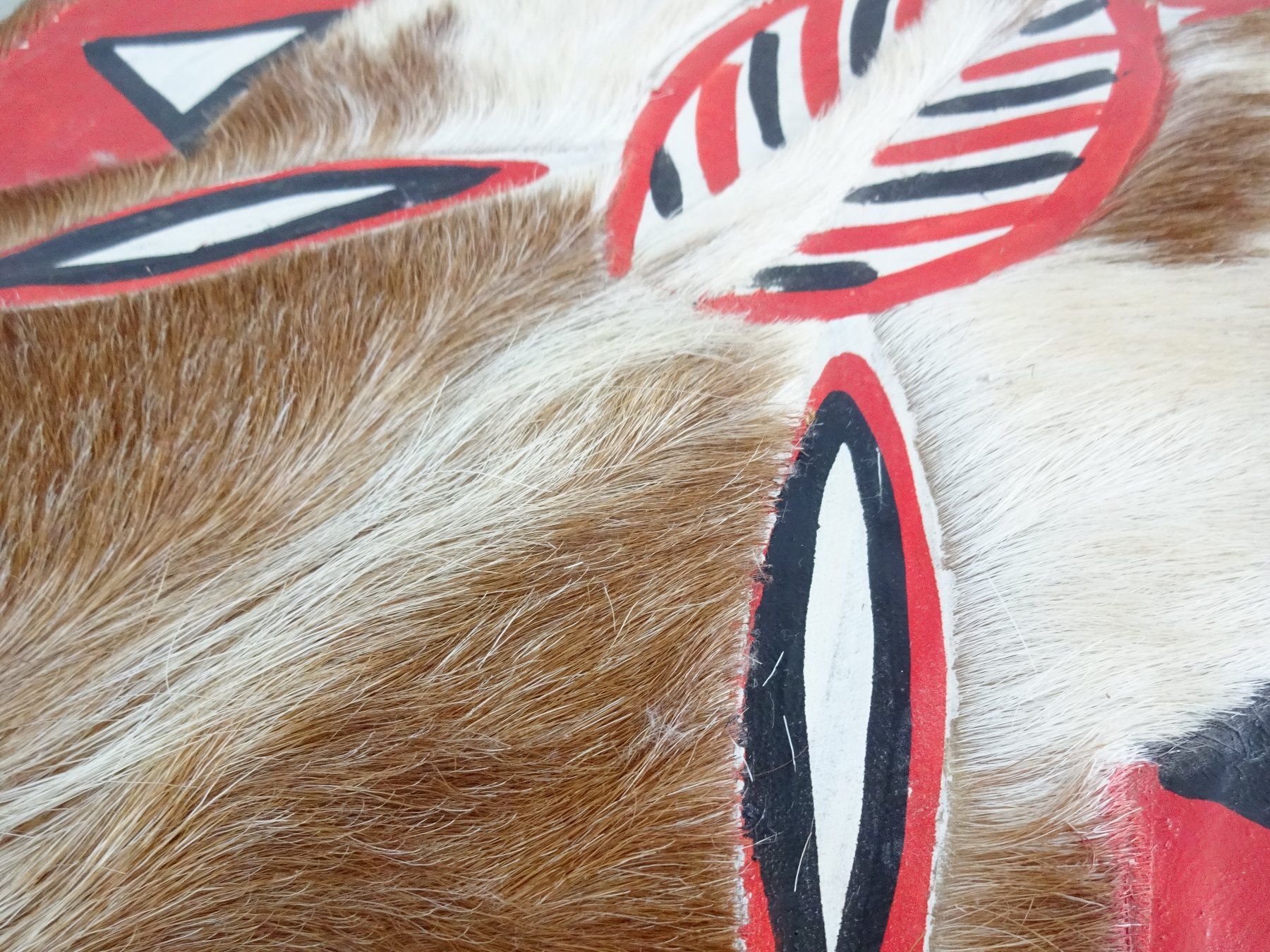 Altre raccolte & rarità: Samburu Massai: Speer und Schild, Kenya – Usato da St.Gallen venduto da Paddington11 4