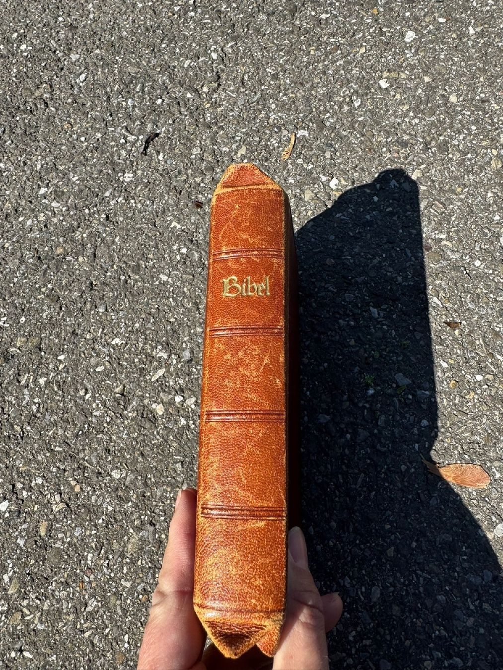 Bücher: Alte Bibel von 1939 – Gebraucht aus Egg b. Zürich von Brocki_Insel_Egg