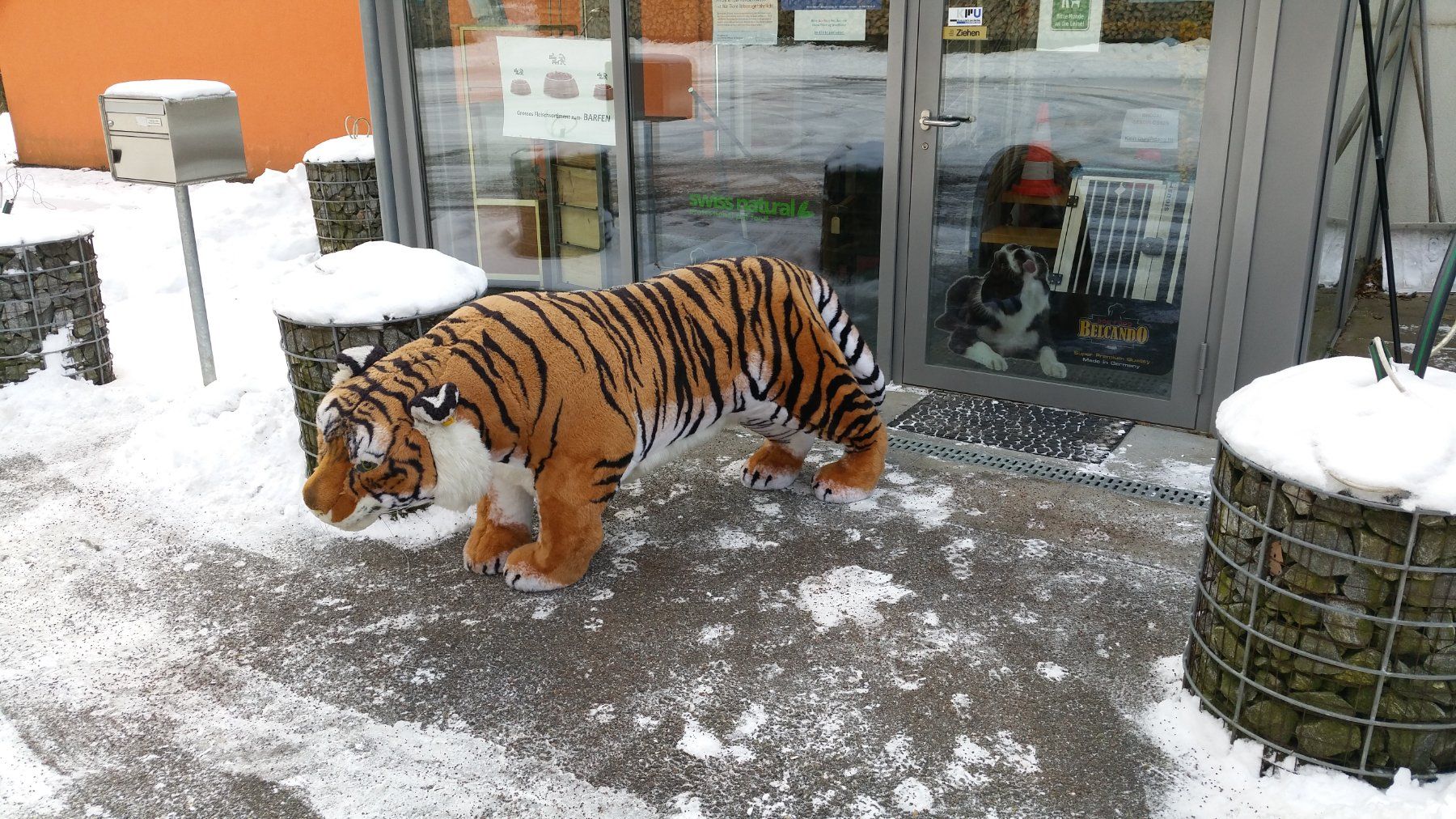 Spielzeuge: Steiff Studio-Tiger – Gebraucht aus Zwingen von moje1 7