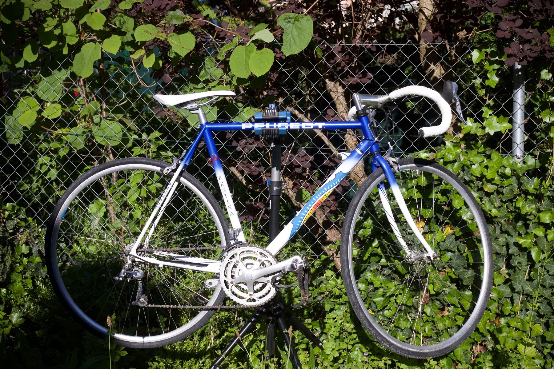 Peugeot Biciclette: Vélo de course Peugeot – Usato da Lausanne venduto da sim_frc5