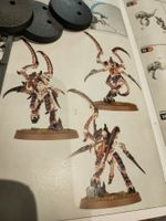 Von Ryan's Leapers der Tyraniden, Warhammer 40k