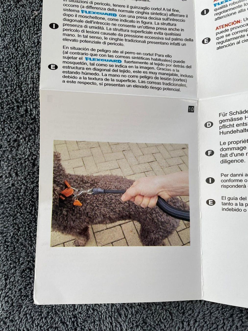 Leine & Halsband: 10x Flexiguard Hunde-Dämpfersystem – Neu und originalverpackt aus Wängi von Thurgauer98 4
