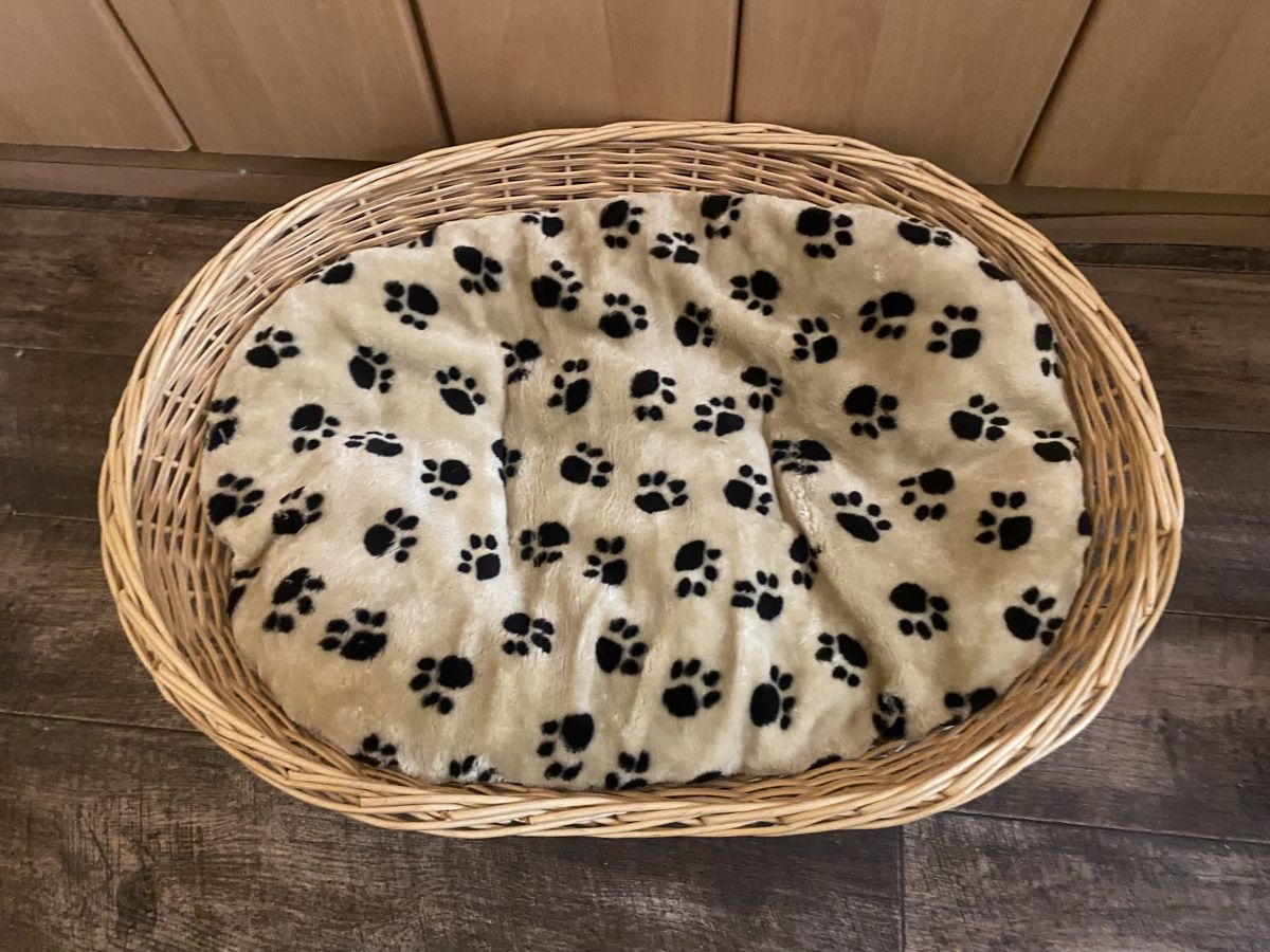 Cucce & Letti: Hunde/Katzen Korb 75x55x15cm – Usato da Seewen SZ venduto da shaky01 1