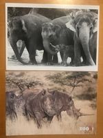 2x Grusskarten Zoo Zürich Elefanten & Nashörner