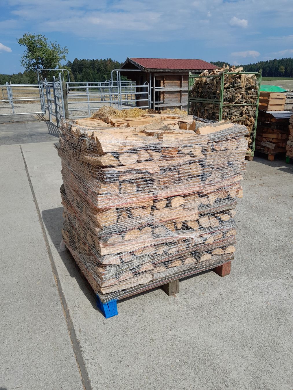 Holzartikel: Brennholz Buche – Neu (gemäss Beschreibung) aus Schlierbach von haflinger66 1