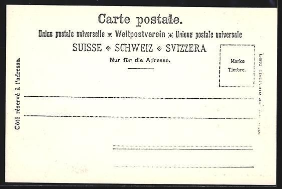 Ansichtskarten: AK Spiez, Panorama mit Hotel – Gebraucht aus Berlin von bartko-reher 1