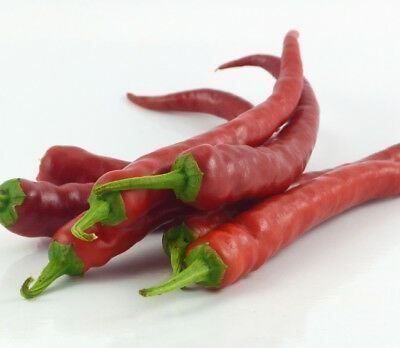 Pflanzen & Samen: 50 Samen Ziegenhorn Chili – Neu (gemäss Beschreibung) aus Ehrendingen von VerveinaSamen 6