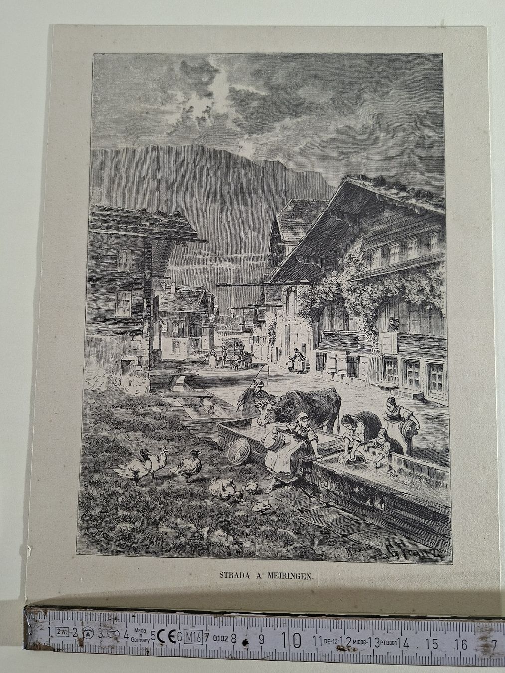 Incisioni: Lot 30 , 5 Stiche  – Usato da Grindelwald venduto da carro5 3