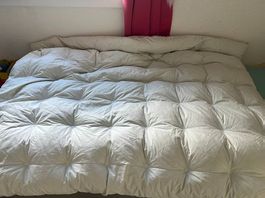 Duvet plumes canard 135x170