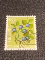 Heidelbeeren ZNr. J247- 1973 Stempel Chur