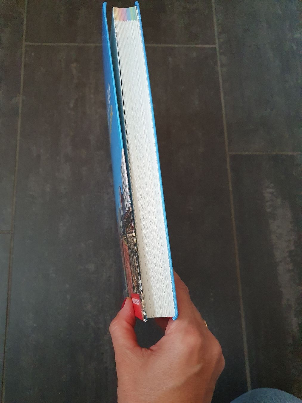 Bücher: Diercke Geographie Westermann Schulbuch – Gebraucht aus Steinach von Xamax18 2