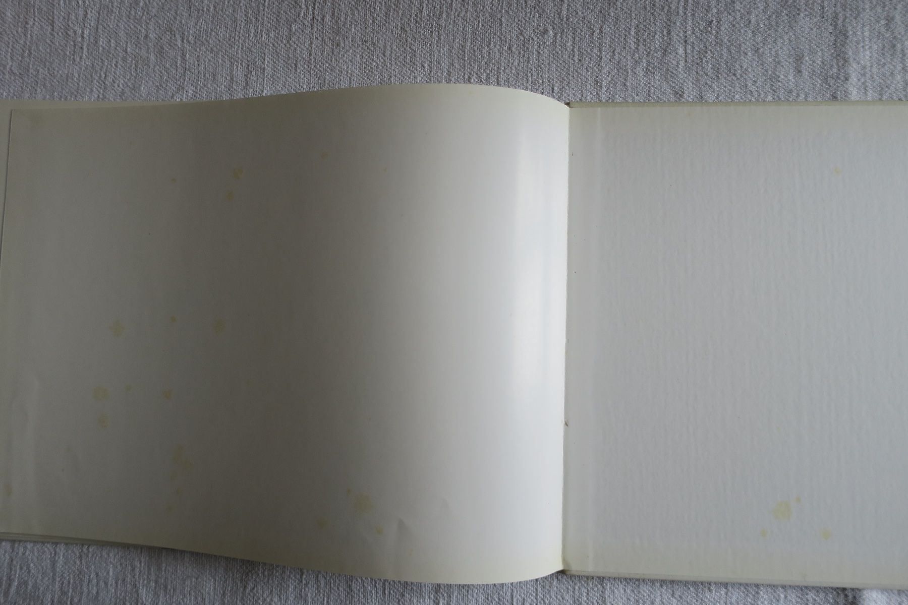 Libri: FLORIAN der gute HIRTE / LUCIA EPPRECHT – Usato da Langenthal venduto da Riccardamax 8